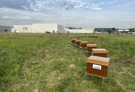 Le Groupe Icare a le plaisir de vous faire découvrir ses 6 ruches installées vers ses locaux de St-Beauzire ! Elles ont été déposées par ApiAuvergne, une association qui promeut la biodiversité par l’implantation de ruches en milieu urbain et dans les entreprises.