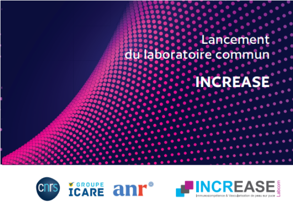 labcom increase